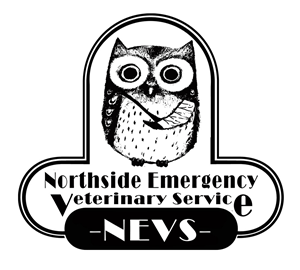 Logo Design by i have a beard