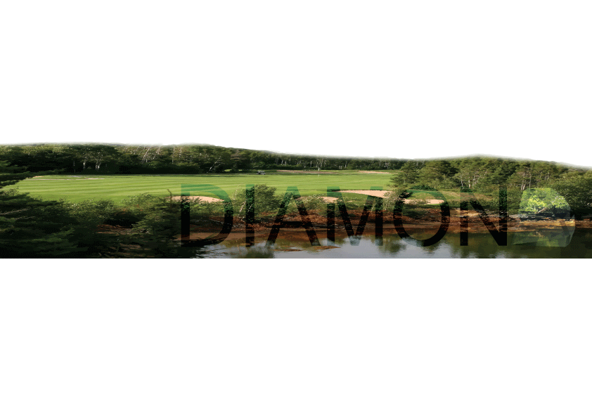 Diseño de Logo por HPS para este proyecto | Diseño #3336786