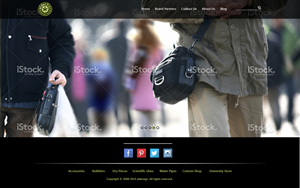 Wordpress Design by designking for this project | Design #3375137