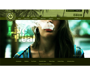 Wordpress Design by Joshuaecwf