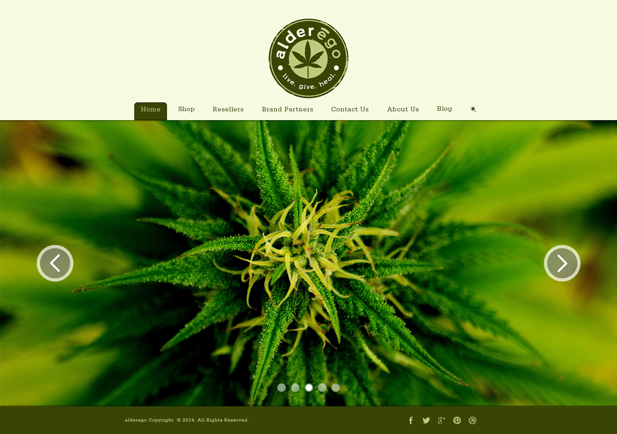 Wordpress Design by LEE MING YAO for this project | Design #3367304