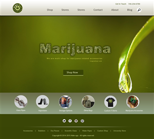 Wordpress Design by webxvision for this project | Design: #3379025