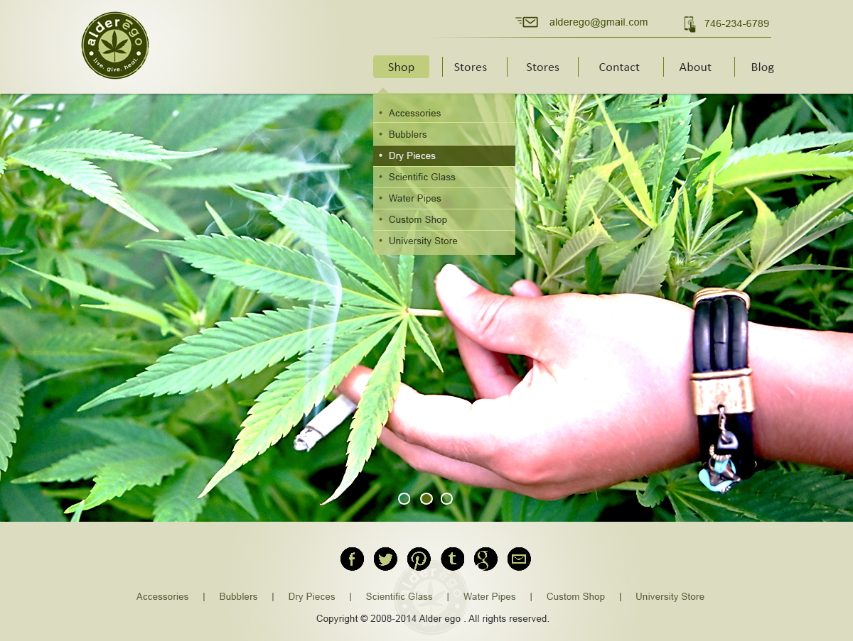Wordpress Design by webxvision for this project | Design #3379234