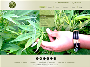 Wordpress Design by webxvision for this project | Design: #3379234