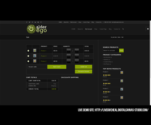 Wordpress Design by Aminrod for this project | Design: #3367649