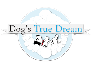 Logo Design by Jarneyoneil.com
