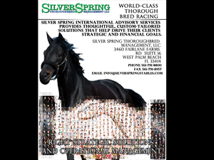 Advertisement Design by sdeb