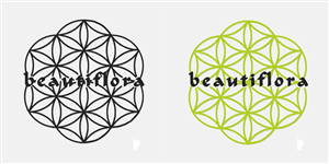 Image du Design