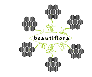 Logo-Design von YorKey Creative für dieses Projekt | Design: #3339343