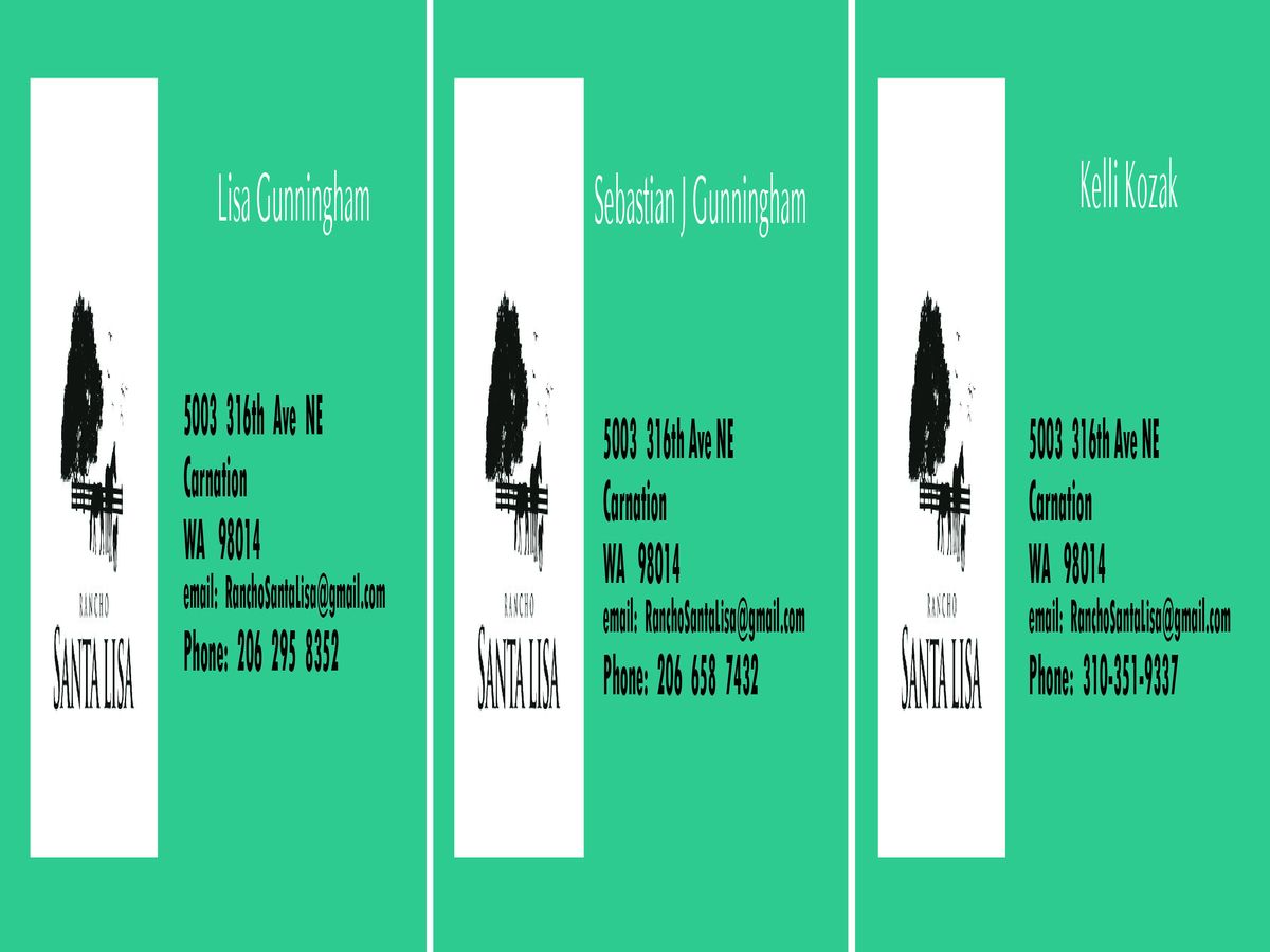 Design de Carte de Visite par Raveendran K pour ce projet | Design #3334617
