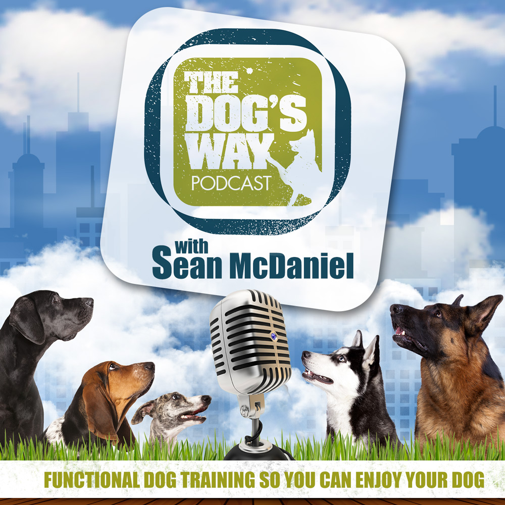 Podcast Design by Mila@CreativeMotions.com for Seattle Family Dog Training | Design: #3455576