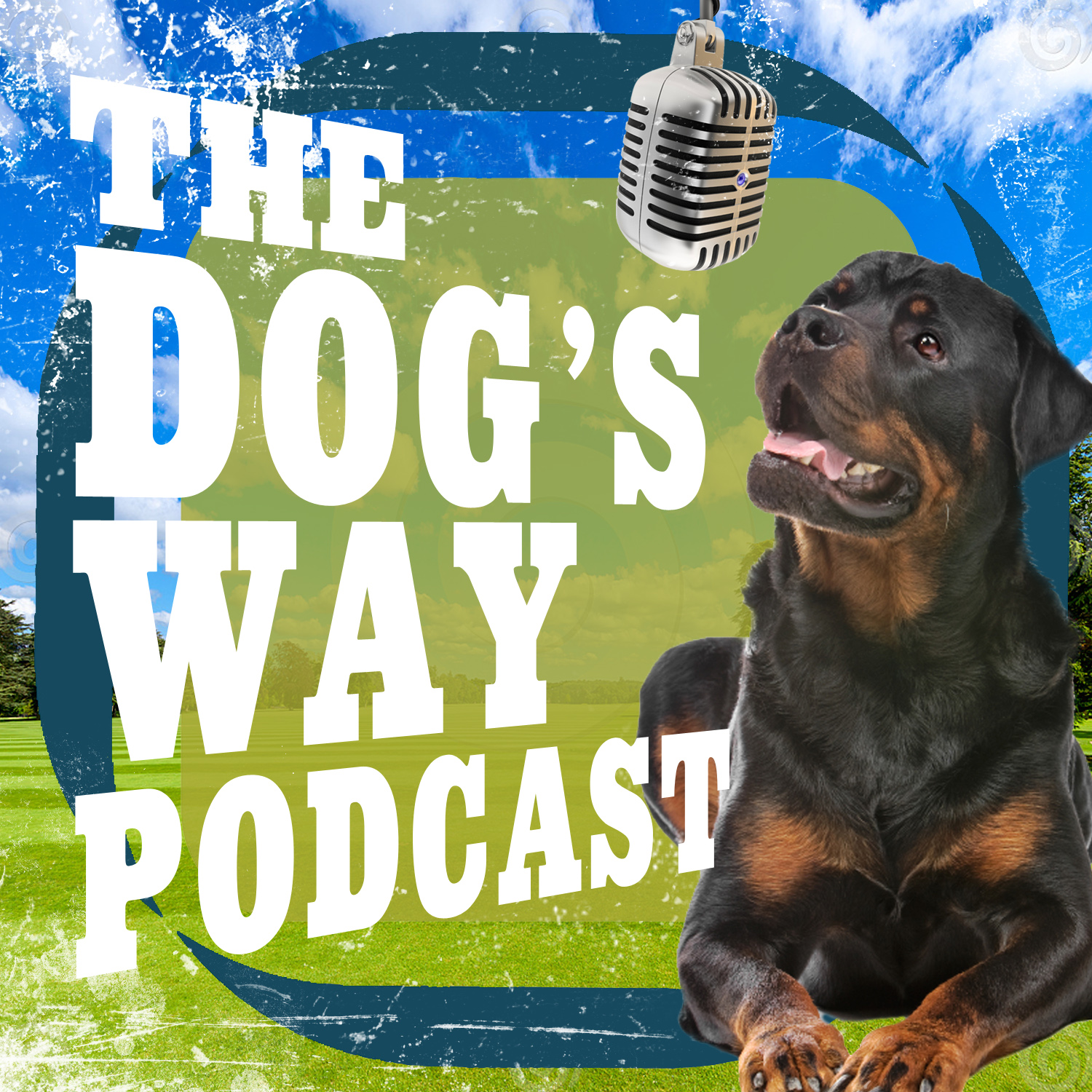 Podcast-Design von GSPdesigns für Seattle Family Dog Training | Design #3368959
