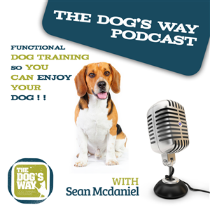 Podcast Design by hybryd