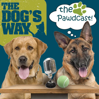 Podcast Design by Made by Molly for Seattle Family Dog Training | Design #3363296
