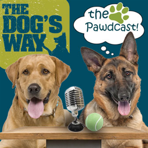 Diseño de Podcast por Made by Molly para Seattle Family Dog Training | Diseño #3363296
