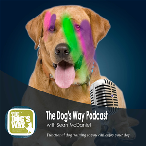 Diseño de Podcast por Amely para Seattle Family Dog Training | Diseño #3335941