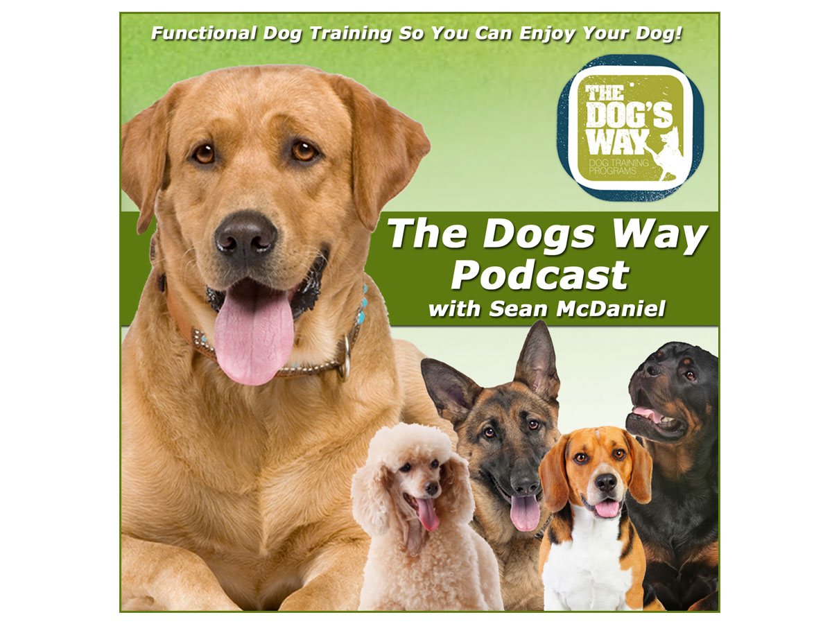 Diseño de Podcast por PAGEMonkey Design para Seattle Family Dog Training | Diseño #3354751