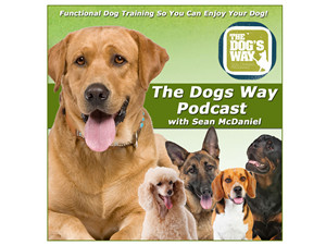 Podcast Design by PAGEMonkey Design