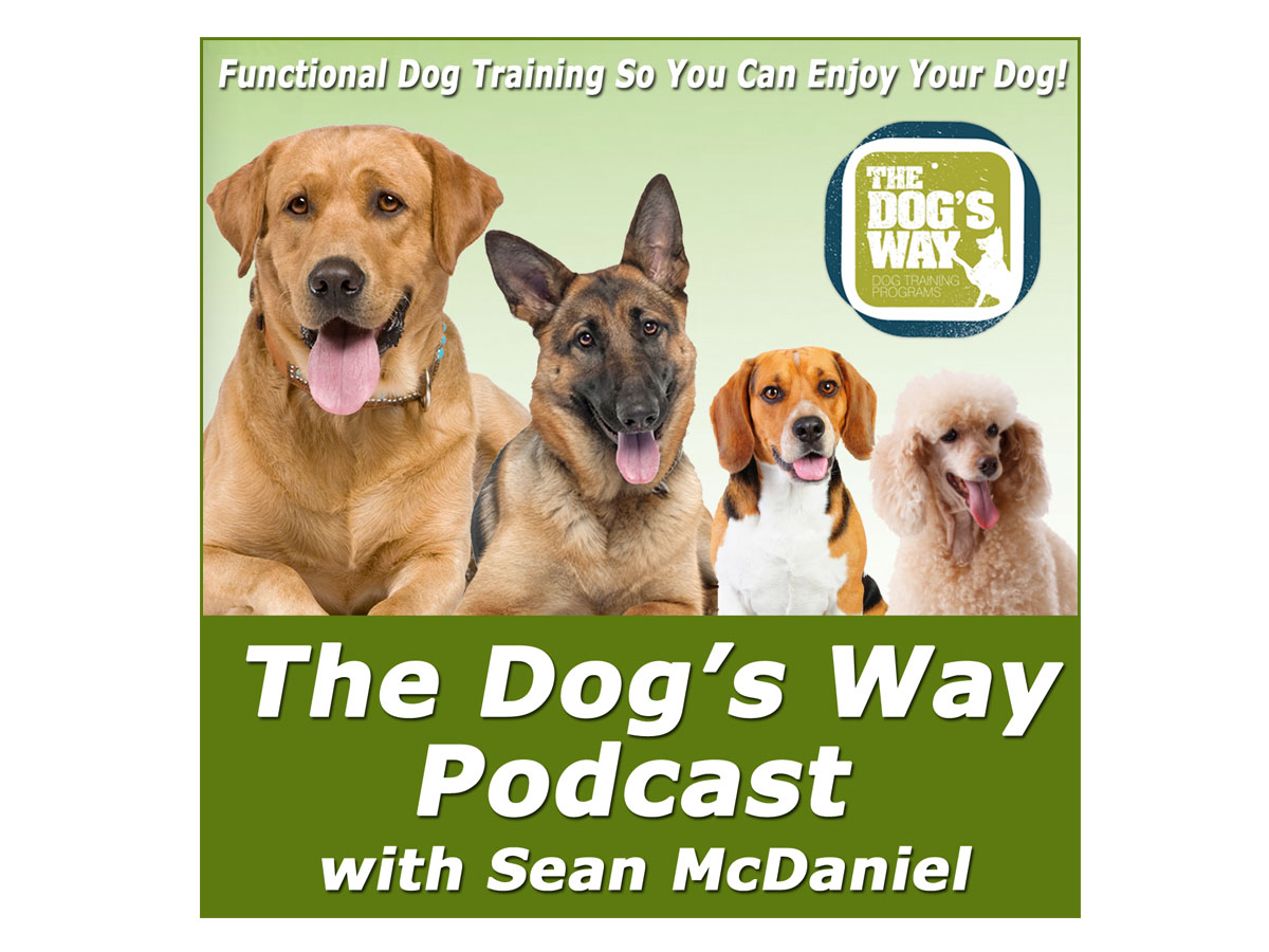 Podcast-Design von PAGEMonkey Design für Seattle Family Dog Training | Design #3361541