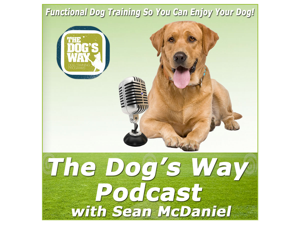 Design de Podcast par PAGEMonkey Design pour Seattle Family Dog Training | Design #3361547