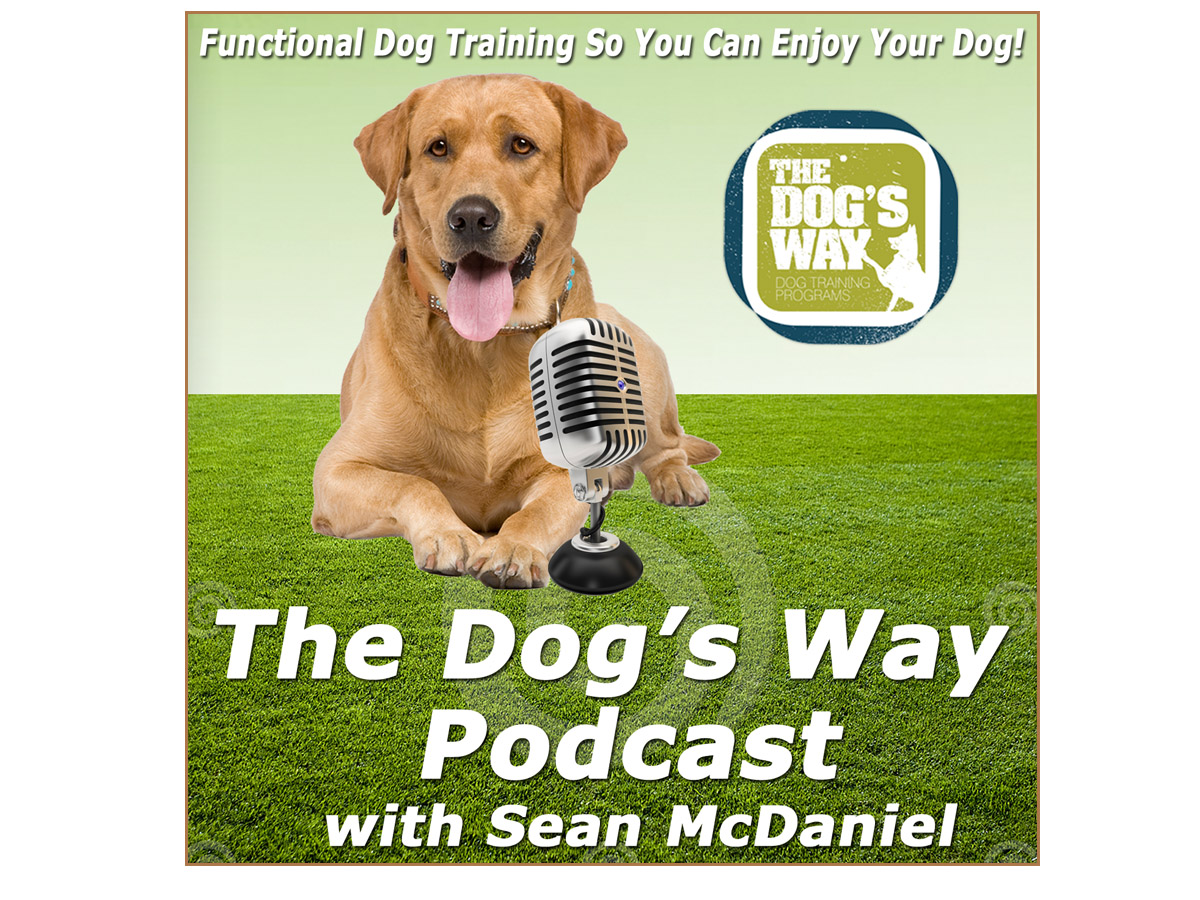 Design de Podcast par PAGEMonkey Design pour Seattle Family Dog Training | Design #3376347