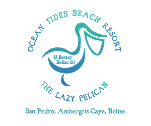 T-shirt Design by tenpin_300 for Tides Beach Resort LTD | Design #3347113