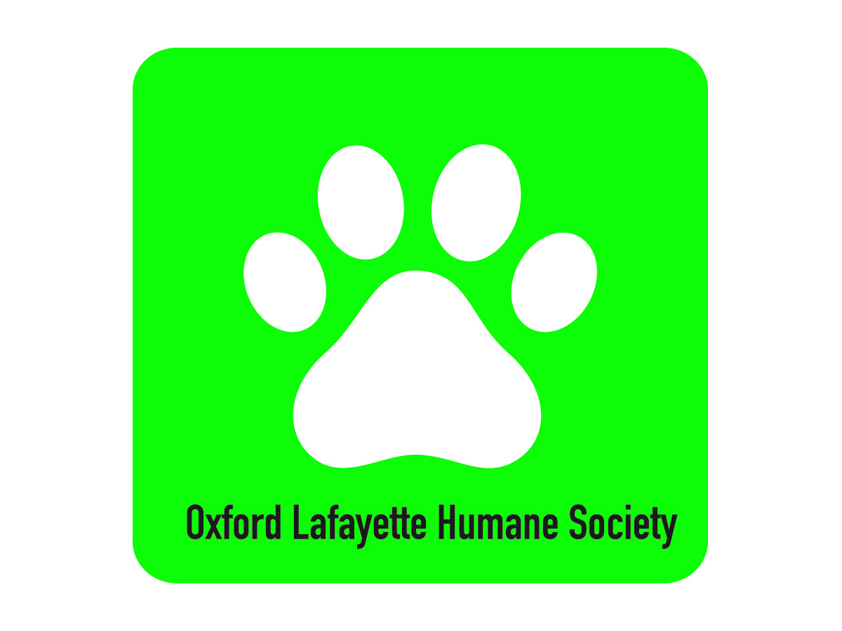 Logo Design by jadsilisty for this project | Design #3339447