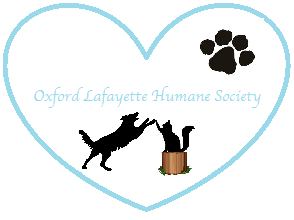 Logo Design by sierra.brinkerhoff