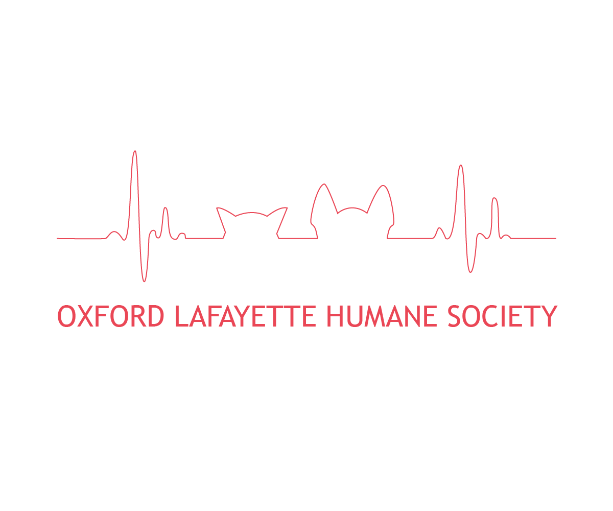 Diseño de Logo por Etosamoe para este proyecto | Diseño #3351114