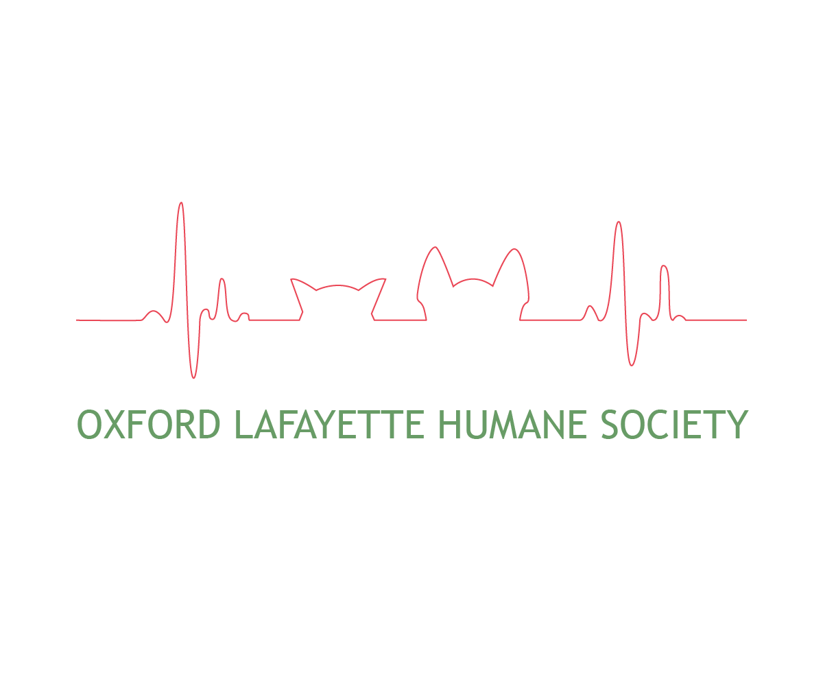 Diseño de Logo por Etosamoe para este proyecto | Diseño #3351169