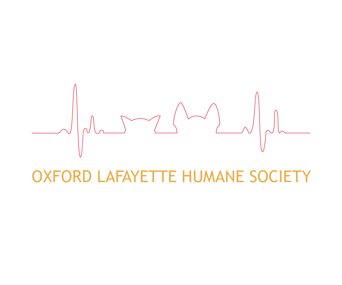 Diseño de Logo por Etosamoe para este proyecto | Diseño #3351171