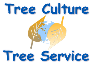 Logo Design by p-qa for this project | Design #3348224