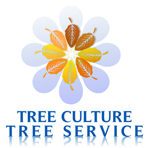 Logo Design by p-qa for this project | Design: #3348755