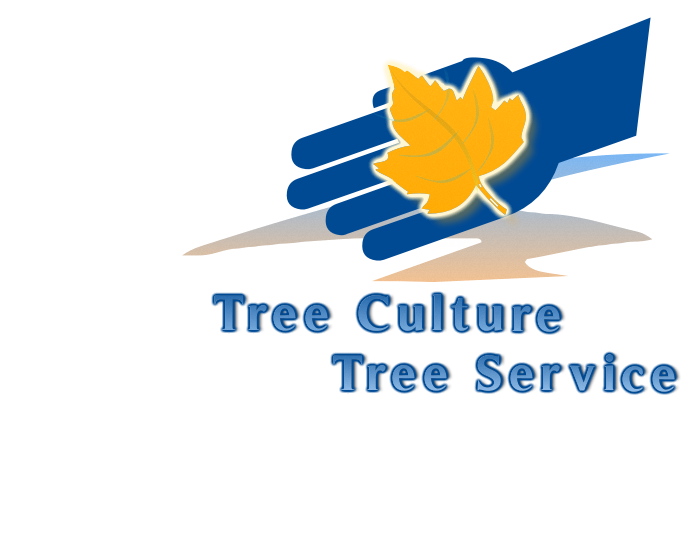 Logo Design by p-qa for this project | Design #3358976