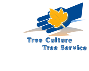 Logo Design by p-qa for this project | Design: #3358976