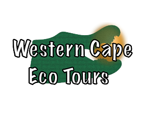Logo Design by LabLgg Services Corp