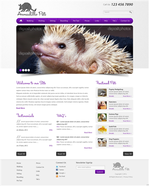 Web Design by pb for this project | Design: #863233