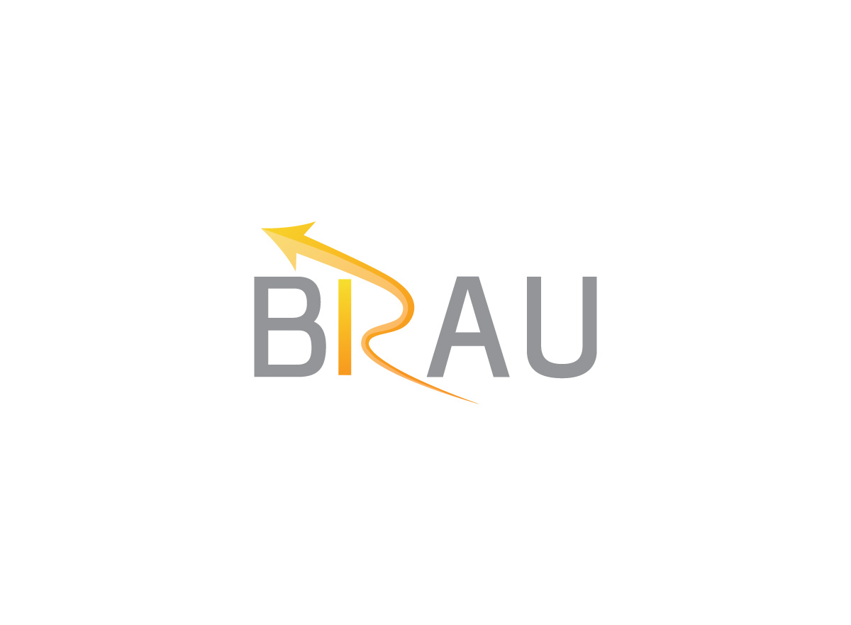 Logo Design by TechWise for BRAU Enterprises Pty Ltd | Design #3349949