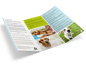 Diseño de Brochure por noworries. para este proyecto | Diseño #3371241