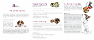 Brochure Design by Design Master