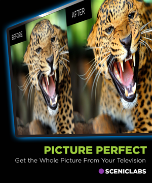 Packaging Design by FOX for Scenic Labs, LLC -DBA- BluScenes | Design: #3353945