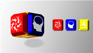 Graphic Design by Vexus Graphics