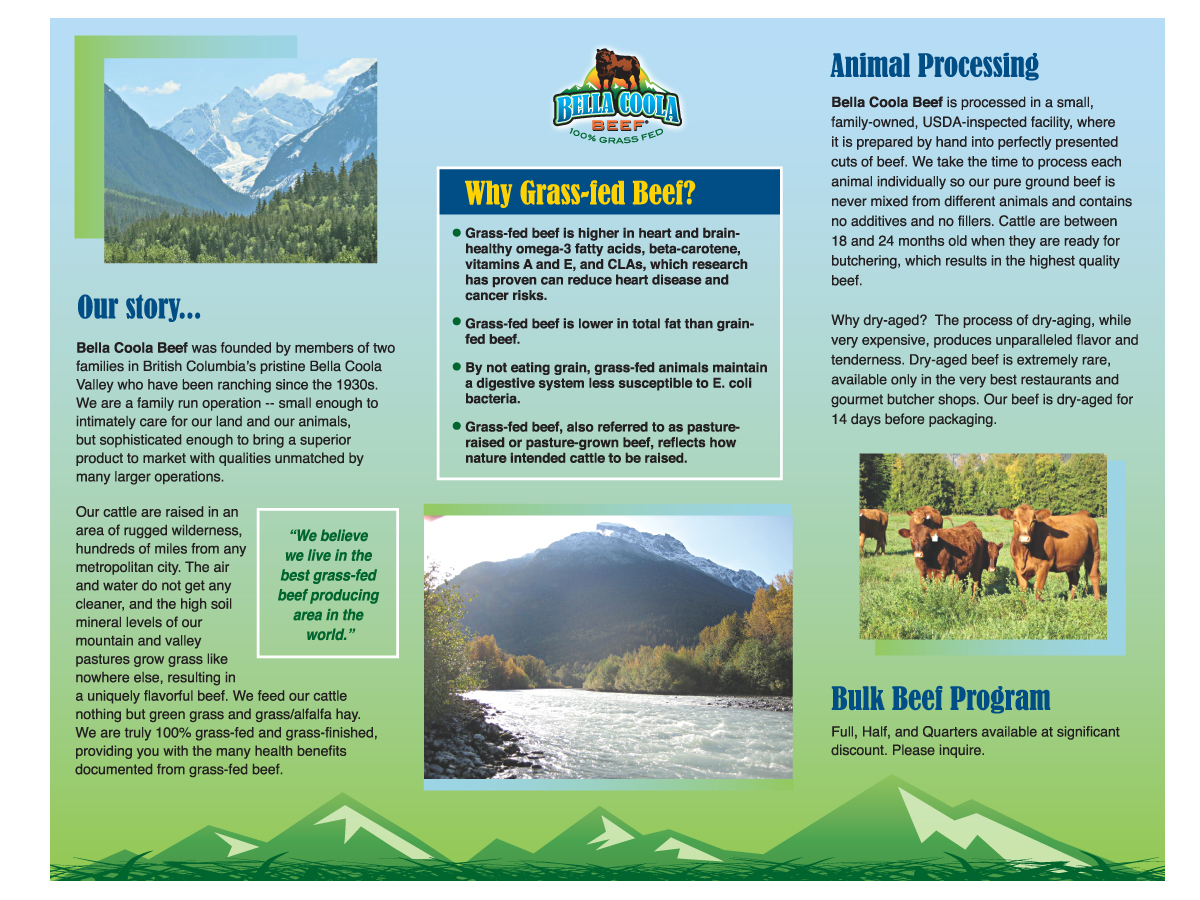 Brochure Design by Buck Tornado for this project | Design #856705