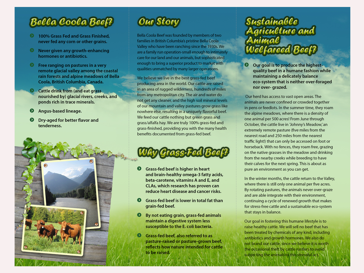 Brochure Design by chawije for this project | Design #855825