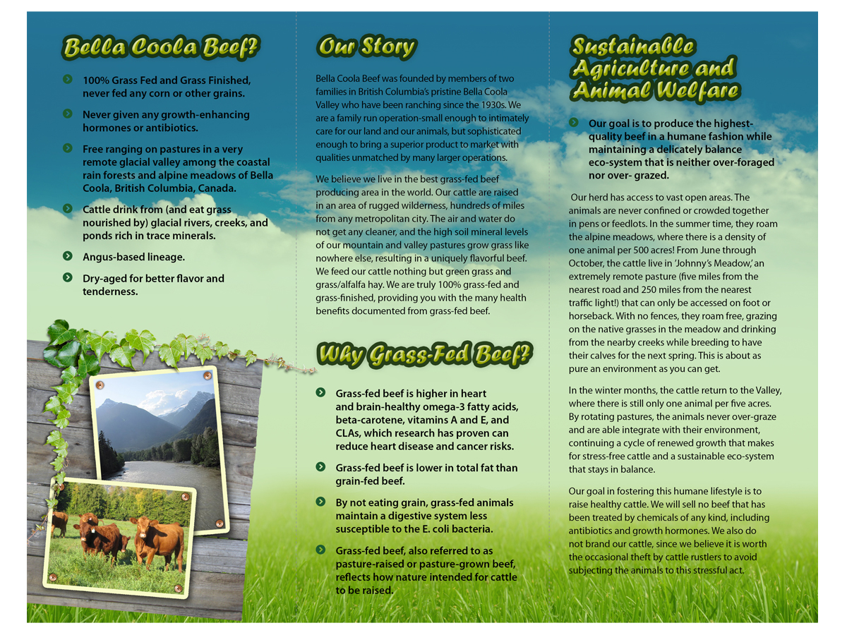 Brochure Design by chawije for this project | Design #860928