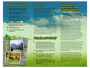 Brochure Design by chawije for this project | Design: #860928