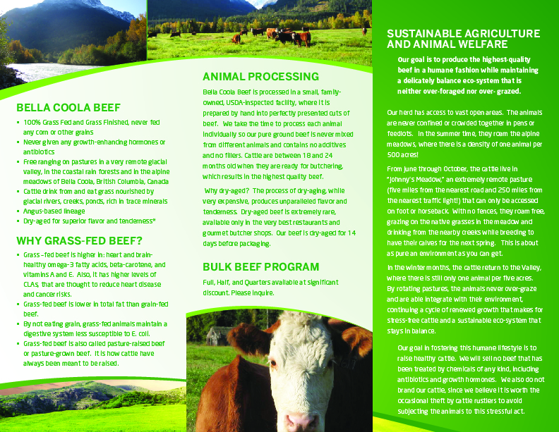 Brochure Design by georgy55ke for this project | Design #862674