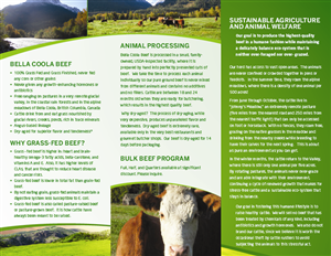Brochure Design by georgy55ke for this project | Design: #862674