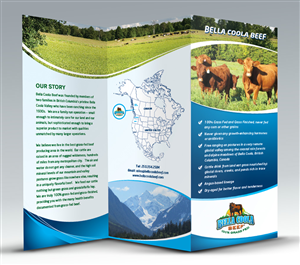 Brochure Design by georgy55ke