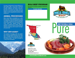 Brochure Design by LeavingImpression for this project | Design: #861201